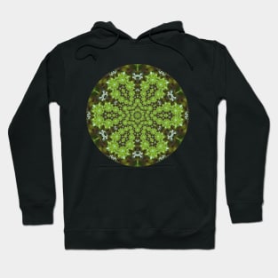 Light Green Bubbles Kaleidoscope Hoodie